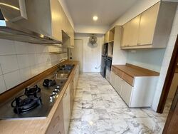 Botanic Gardens View (D10), Apartment #611203241